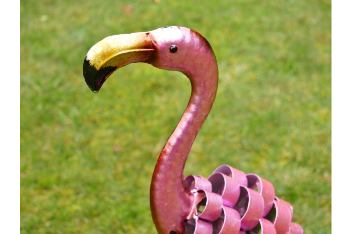 Garden Flamingos